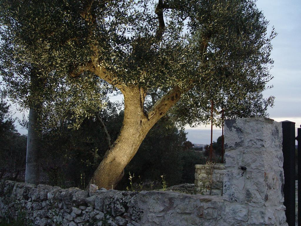 Trullo Sereno Angelo Locorotondo Eksteriør billede